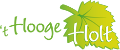 mpluskassa-t-hooge-holt