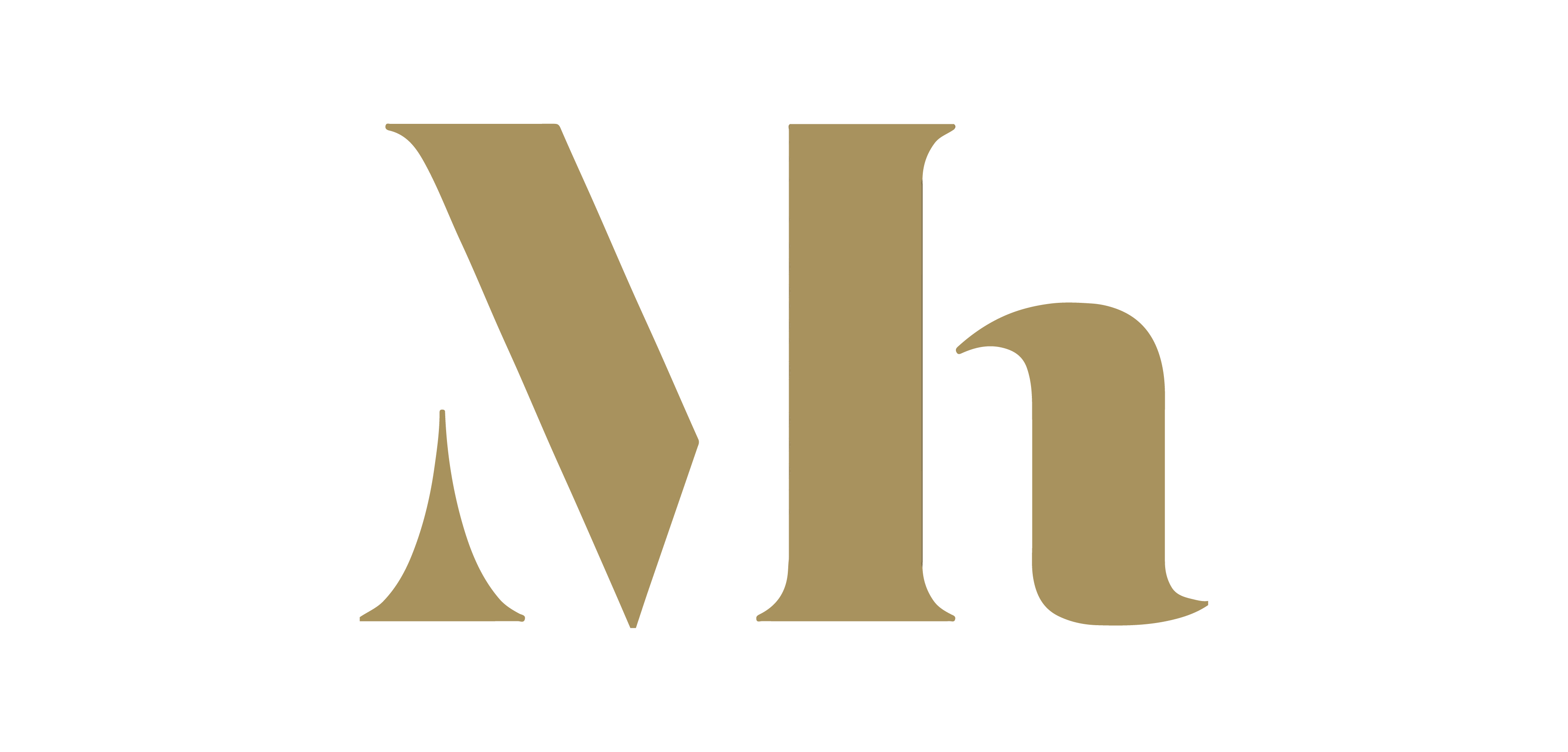 mpluskassa-het-mauritshuis